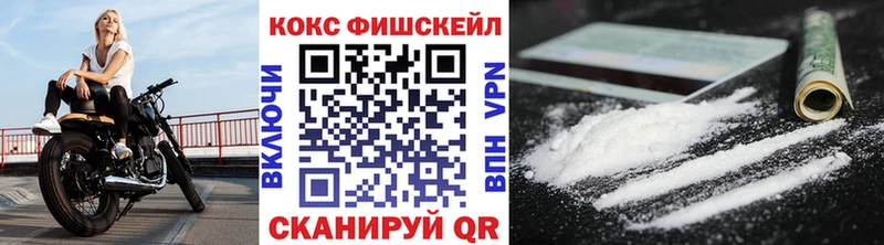 КОКАИН Fish Scale  Купить закладки  Глазов 