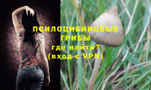 спиды Алзамай